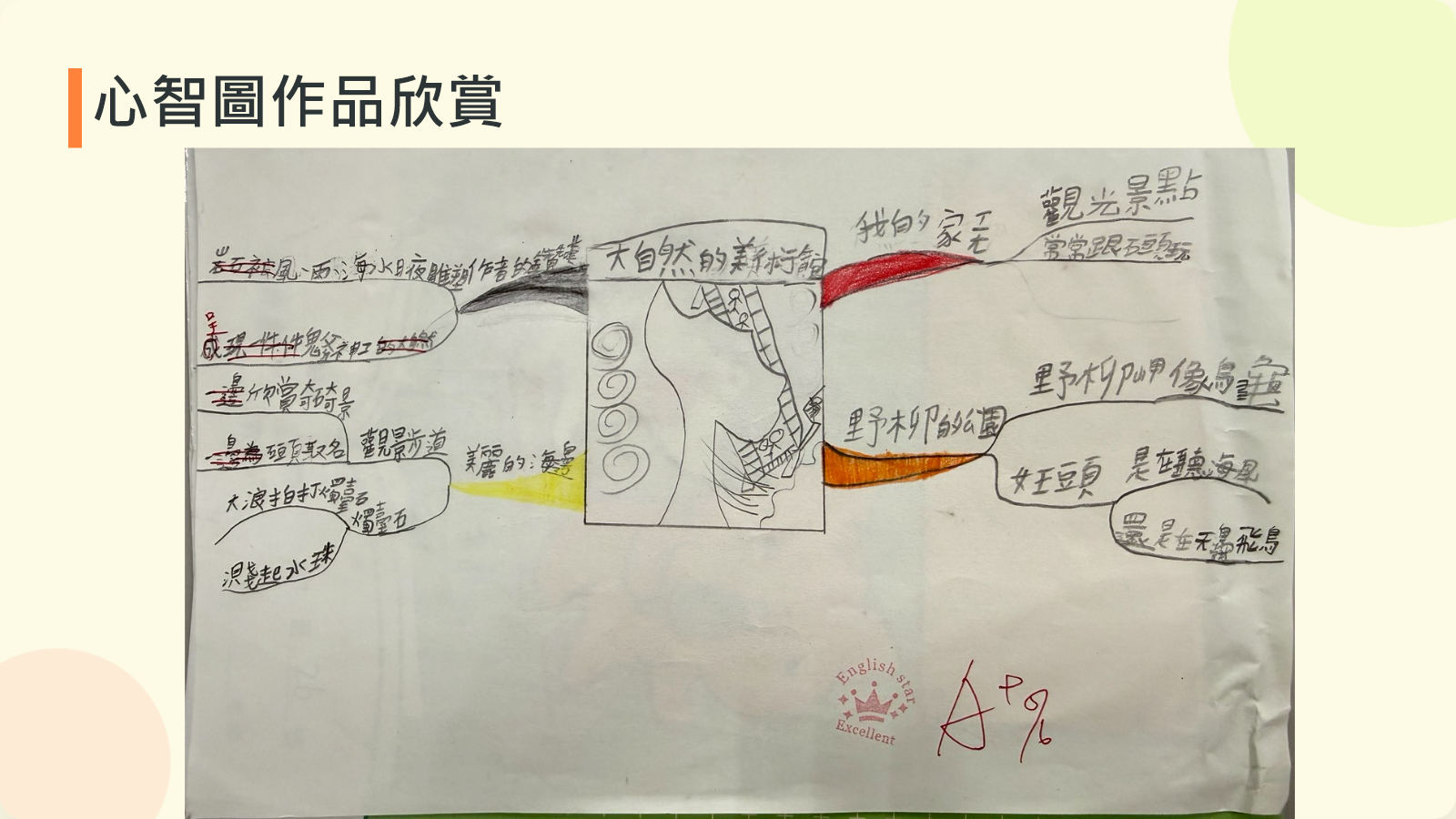 學生整理大自然的美術館課文線索的心智圖作品